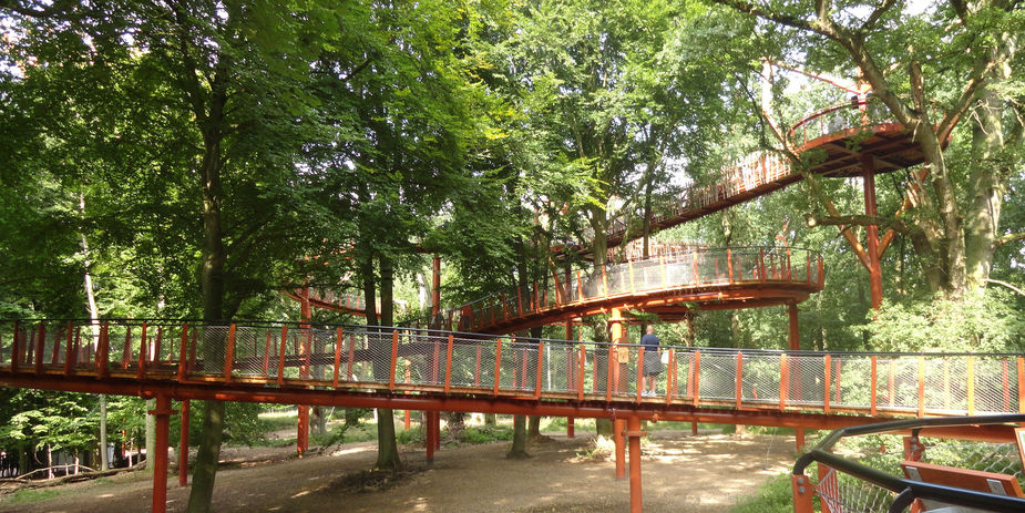 Eine Wendelrampe mit max. 6% Gefälle schlängelt sich durch den Wald allmählich nach oben. © 2017 Betrieb für Bau und Liegenschaften Mecklenburg-Vorpommern Eine Wendelrampe mit max. 6% Gefälle schlängelt sich durch den Wald allmählich nach oben. © 2017 Betrieb für Bau und Liegenschaften Mecklenburg-Vorpommern