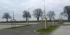 40 Bäume ließ das SBL Rostock auf dem Parkplatz pflanzen. So wird die versiegelte Fläche teilweise begrünt. © 2020 Polizeipräsidium Rostock