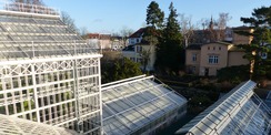 Blick vom Dach auf die sanierte Gewächshausanlage © 2021 SBL Greifswald