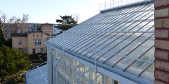 Blick vom Dach auf die historische  sanierte Stahlkonstruktion der Gewächshausanlage © 2021 SBL Greifswald