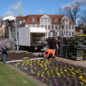 Die Blumen in Landesfarben werden rautenförmig gesetzt. © 2023 SBL Schwerin