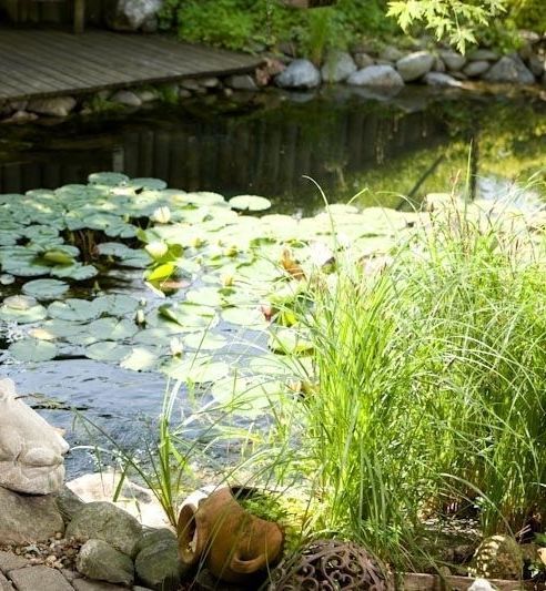 Gartenteich Anlegen Lagerhaus Landring