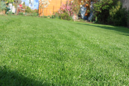Gartentipp August Den Urlaub Im Garten Verbringen Lagerhaus