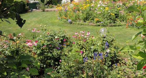 Duftende Blumen Und Straucher Fur Den Garten Lagerhaus Landforst