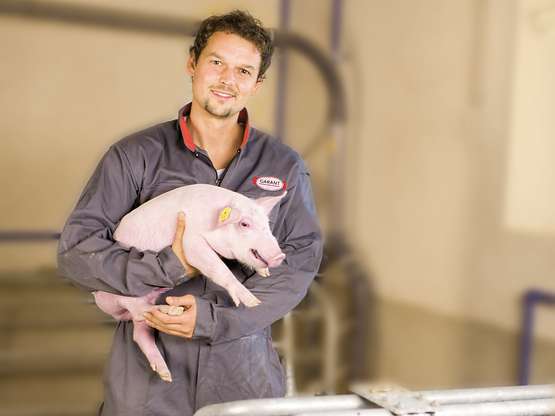 Landwirt trägt Ferkel Landwirt trägt Ferkel