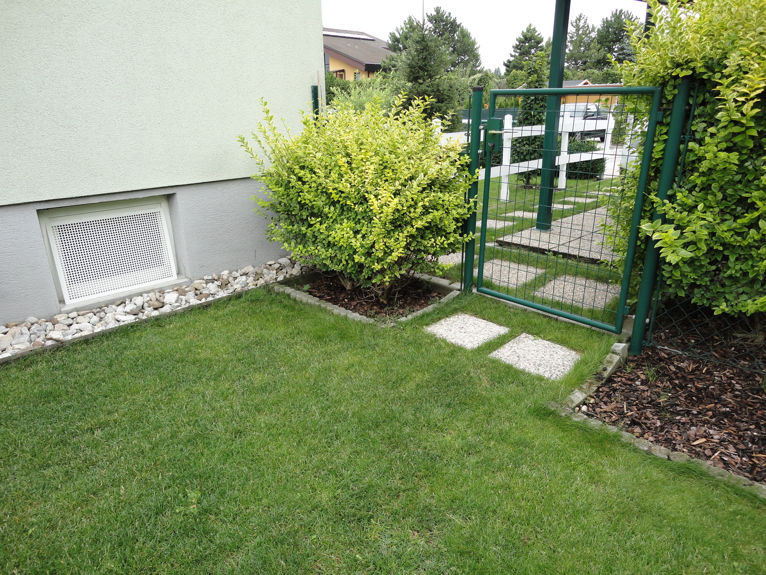 Liguster Pflege Tipps Und Eigenschaften Lagerhaus Landforst