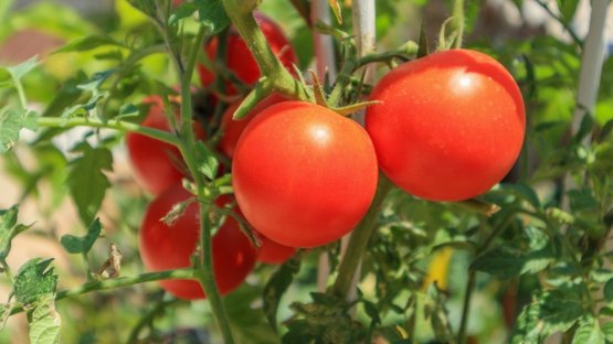 Die Schonsten Hochzeitslocation S In Giessen Marburg Und