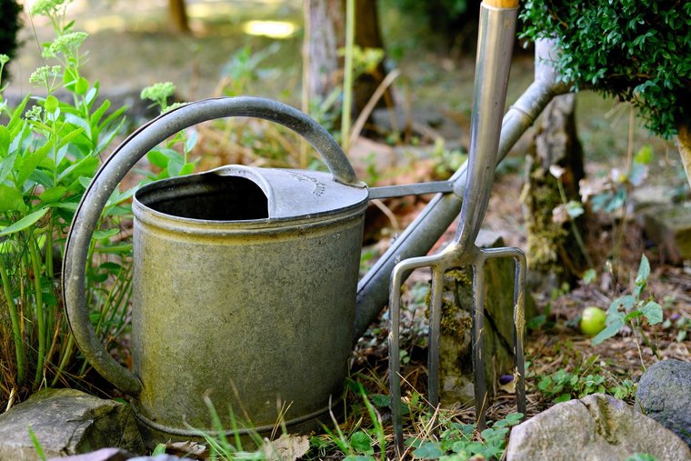 Symbolfoto Garten.jpg Symbolfoto Garten.jpg