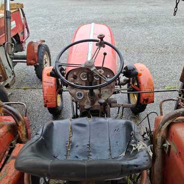 Steyr Traktor / 28 Steyr 68365059891789645 © GM Bilder