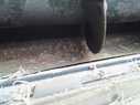 Diverse Futtermischwagen 686107719457748641412 © GM Bilder