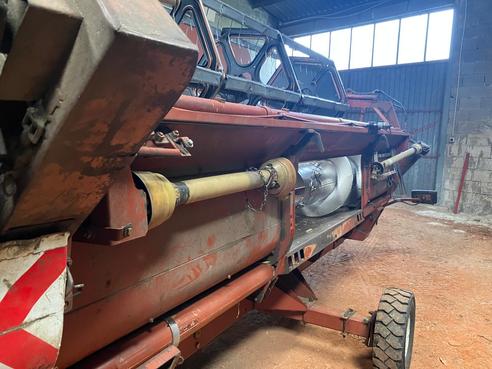 FIAT 3790 66542145754127510 © GM Bilder