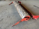 Kuhn Zahnpackerwalze HRB Kreiselegge 684424991834062 © GM Bilder