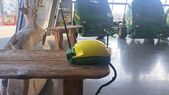 John Deere Starfire 6000 Funk RTK 6977564992735 © GM Bilder