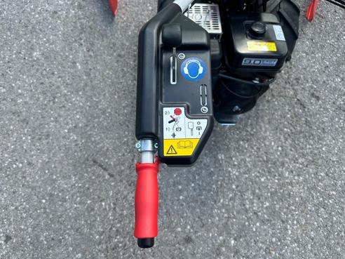 Reform Motech M2.09D Motormäher 66047906008725669 © GM Bilder