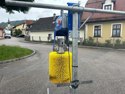 Diverse DeLaval Viehbürste/Kuhbürste 66147757356426225467 © GM Bilder