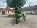 Krone KW 6.70 Kreiselheuer 666100204192925 © GM Bilder