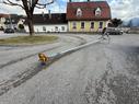 Reck 6 m Güllemixer 67706229122 © GM Bilder
