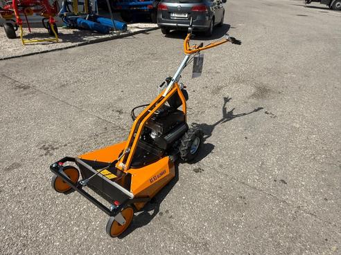 AS-MOTOR AS 63 2T 67965275509451 © GM Bilder