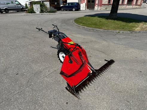 Aebi Eingrasmotormäher AM41 682436212220159160 © GM Bilder