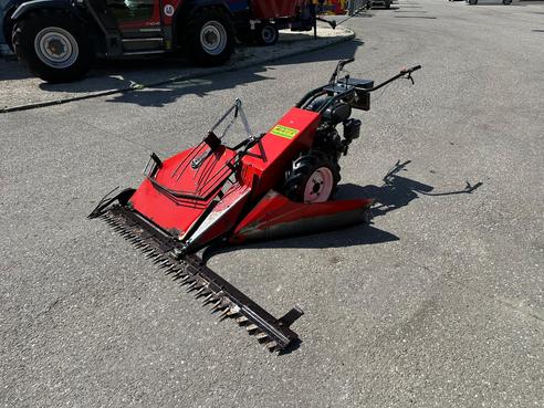 Aebi Eingrasmotormäher AM41 682436212220159161 © GM Bilder
