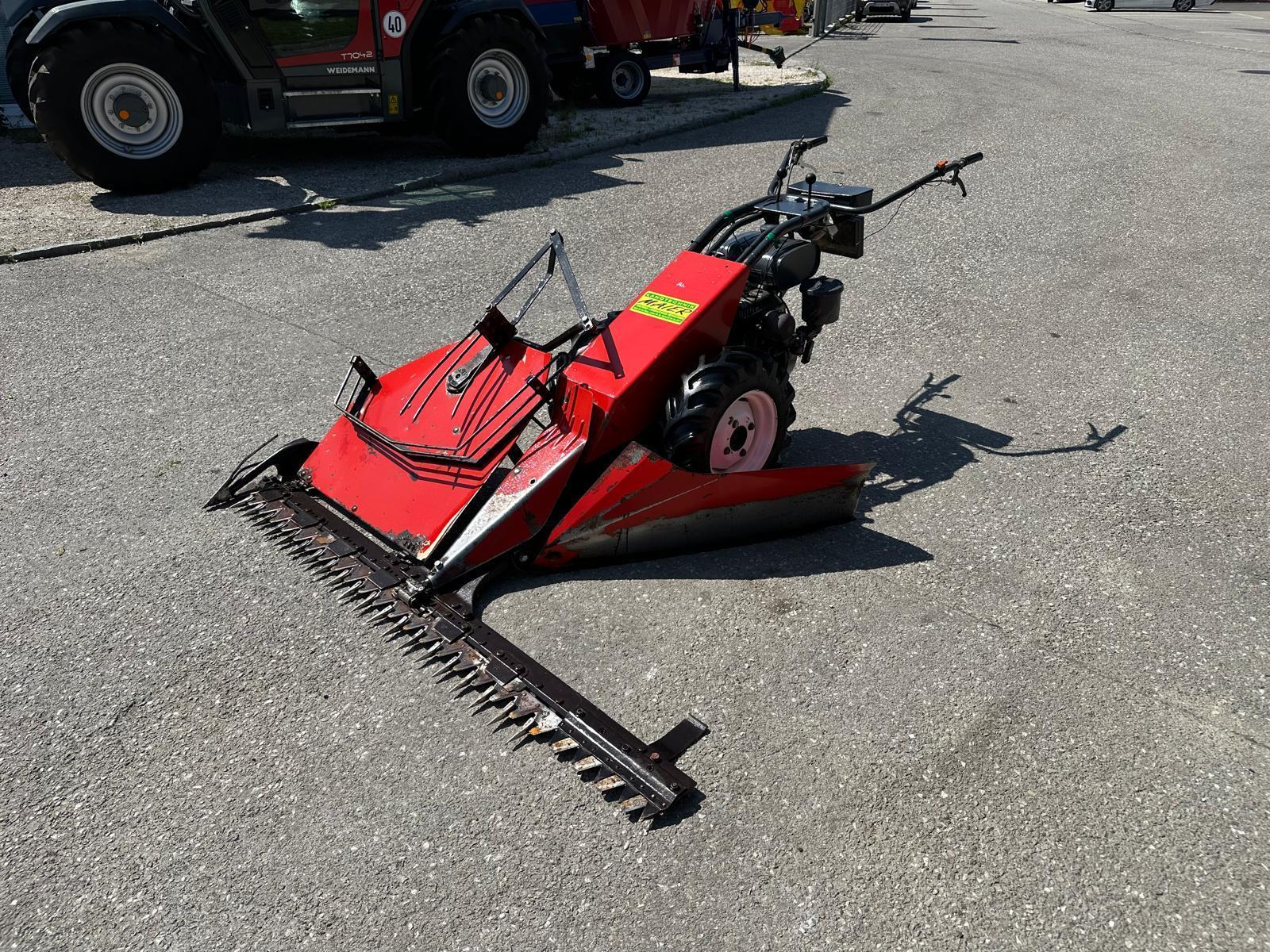 Aebi Eingrasmotormäher AM41 682436212220159161 © GM Bilder