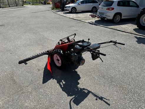 Aebi Eingrasmotormäher AM41 682436212220159163 © GM Bilder