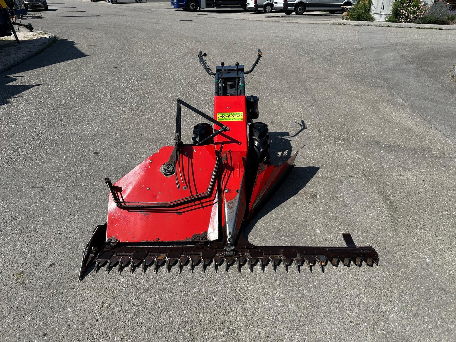 Aebi Eingrasmotormäher AM41 682436212220159164 © GM Bilder