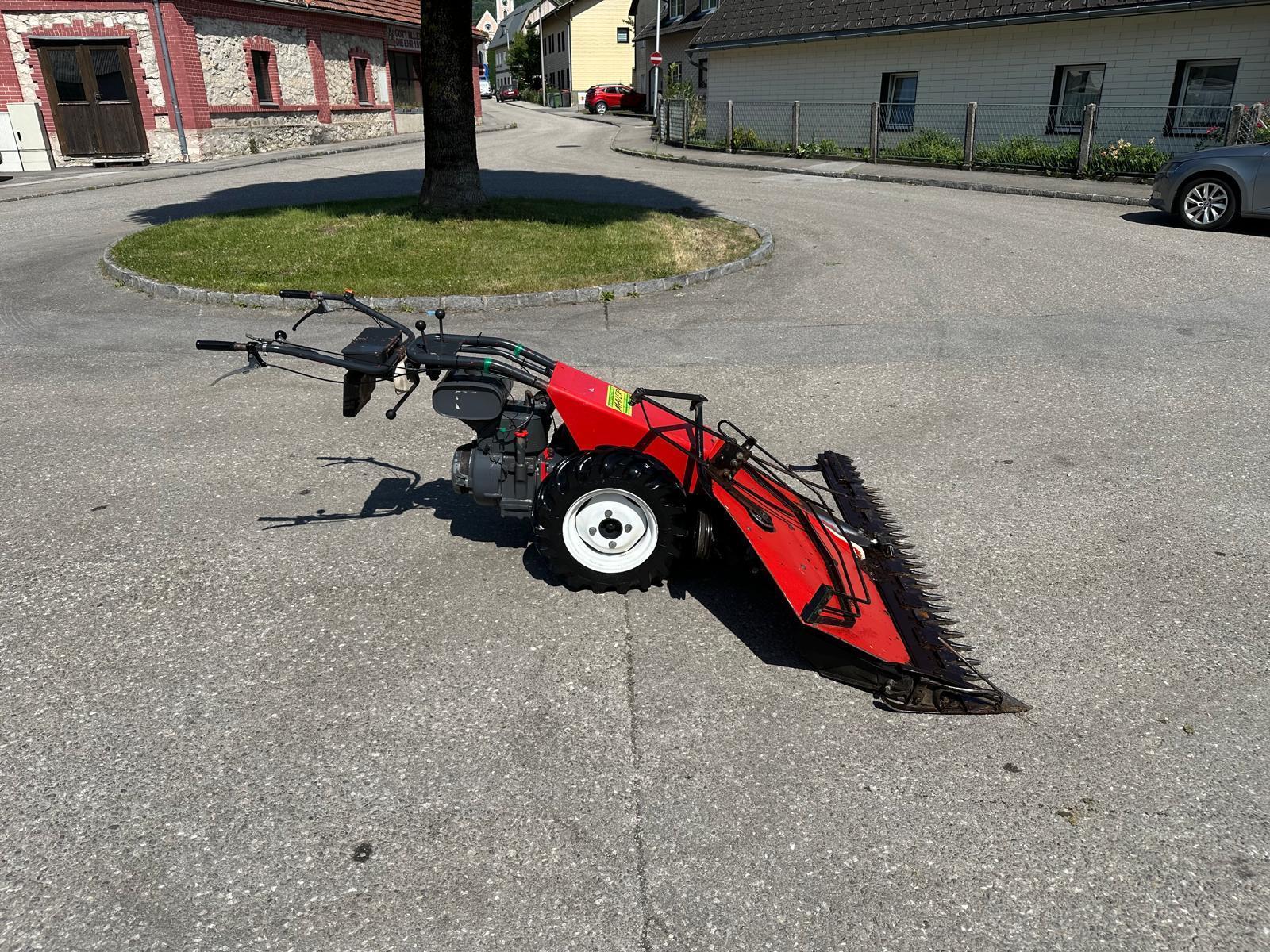 Aebi Eingrasmotormäher AM41 682436212220159165 © GM Bilder