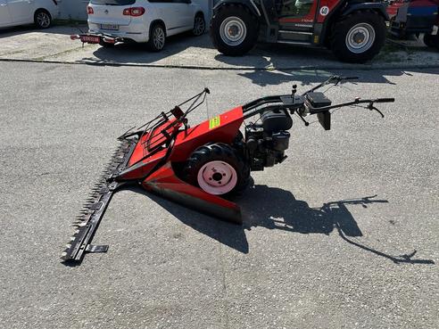 Aebi Eingrasmotormäher AM41 682436212220159167 © GM Bilder