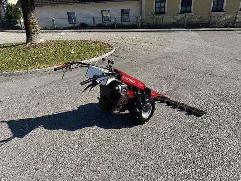 Diverse Perchthold PT 434/1 Motormäher 683155380802912 © GM Bilder