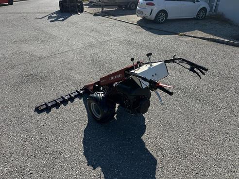 Diverse Perchthold PT 434/1 Motormäher 683155380802913 © GM Bilder