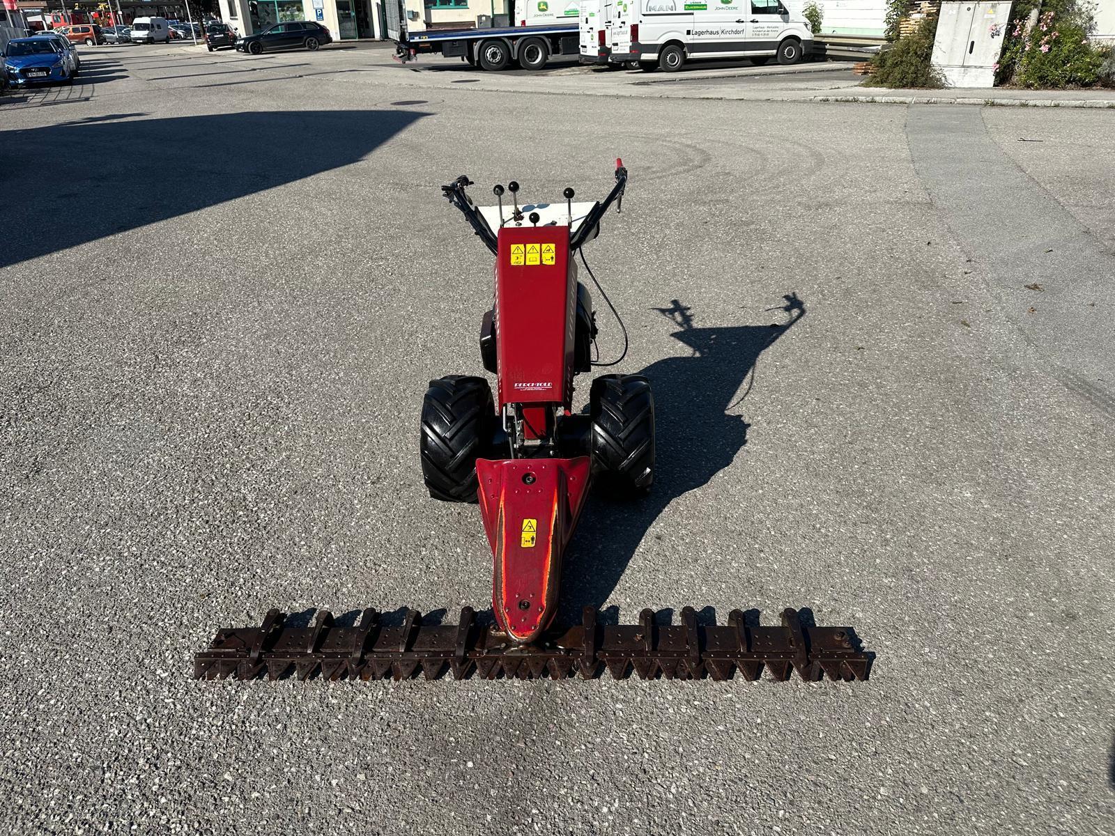 Diverse Perchthold PT 434/1 Motormäher 683155380802914 © GM Bilder
