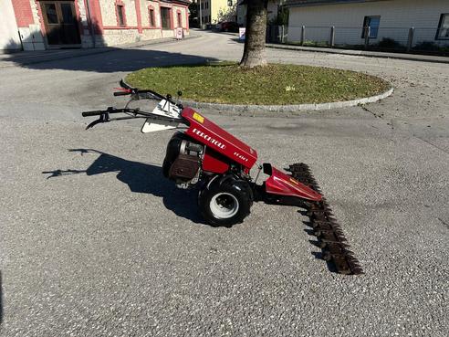 Diverse Perchthold PT 434/1 Motormäher 683155380802915 © GM Bilder