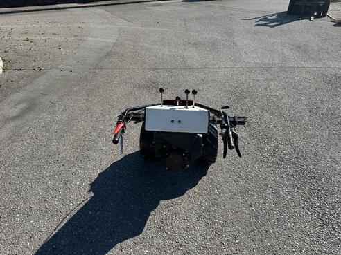 Diverse Perchthold PT 434/1 Motormäher 683155380802916 © GM Bilder