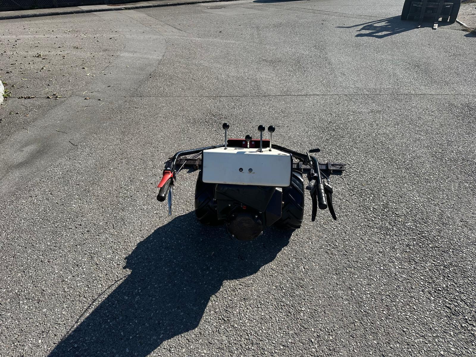 Diverse Perchthold PT 434/1 Motormäher 683155380802916 © GM Bilder