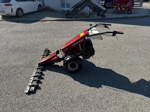 Diverse Perchthold PT 434/1 Motormäher 683155380802917 © GM Bilder