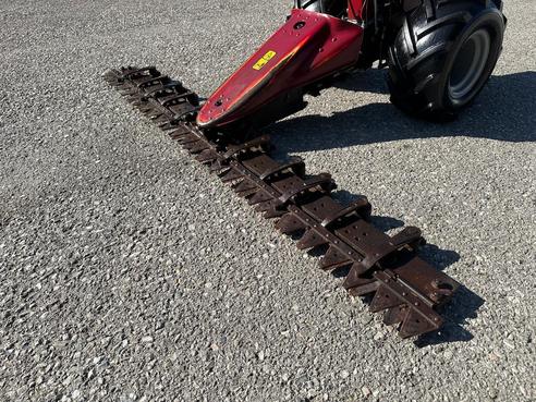 Diverse Perchthold PT 434/1 Motormäher 683155380802919 © GM Bilder