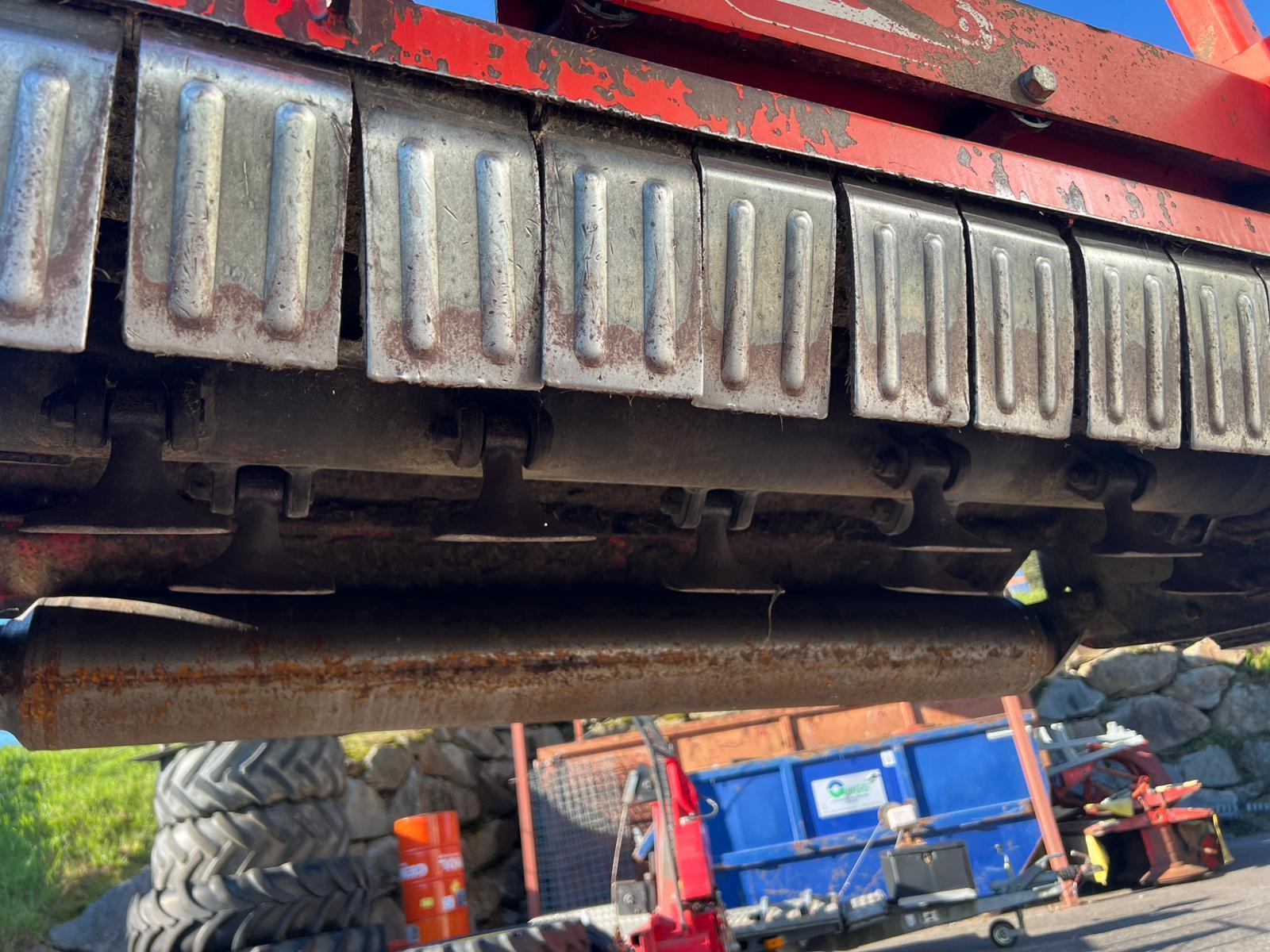 MASCHIO Bella 155 685492298297965 © GM Bilder