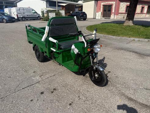 Diverse Graf Carello LDR 25 72 V Grün Geländebereifung 689831038699257490 © GM Bilder