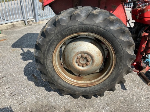 Massey Ferguson 135 65084352440425912 © GM Bilder