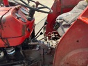 Massey Ferguson 135 65084352440425915 © GM Bilder