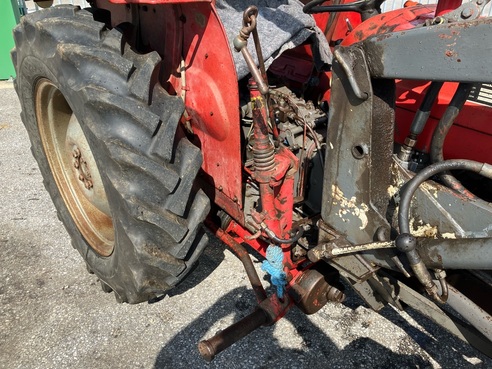 Massey Ferguson 135 65084352440425916 © GM Bilder