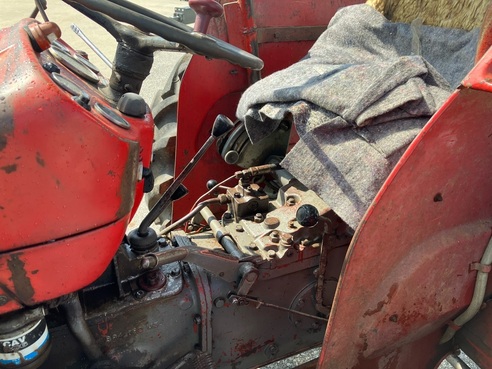 Massey Ferguson 135 6508435244042593 © GM Bilder