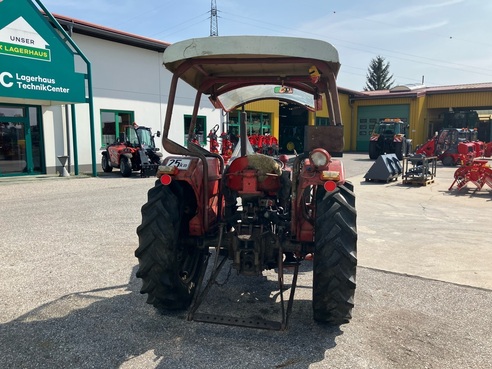Massey Ferguson 135 6508435244042596 © GM Bilder