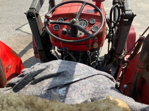 Massey Ferguson 135 6508435244042598 © GM Bilder