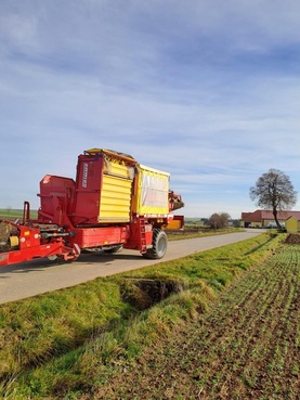 Grimme SE 260 6786682158265900 © GM Bilder