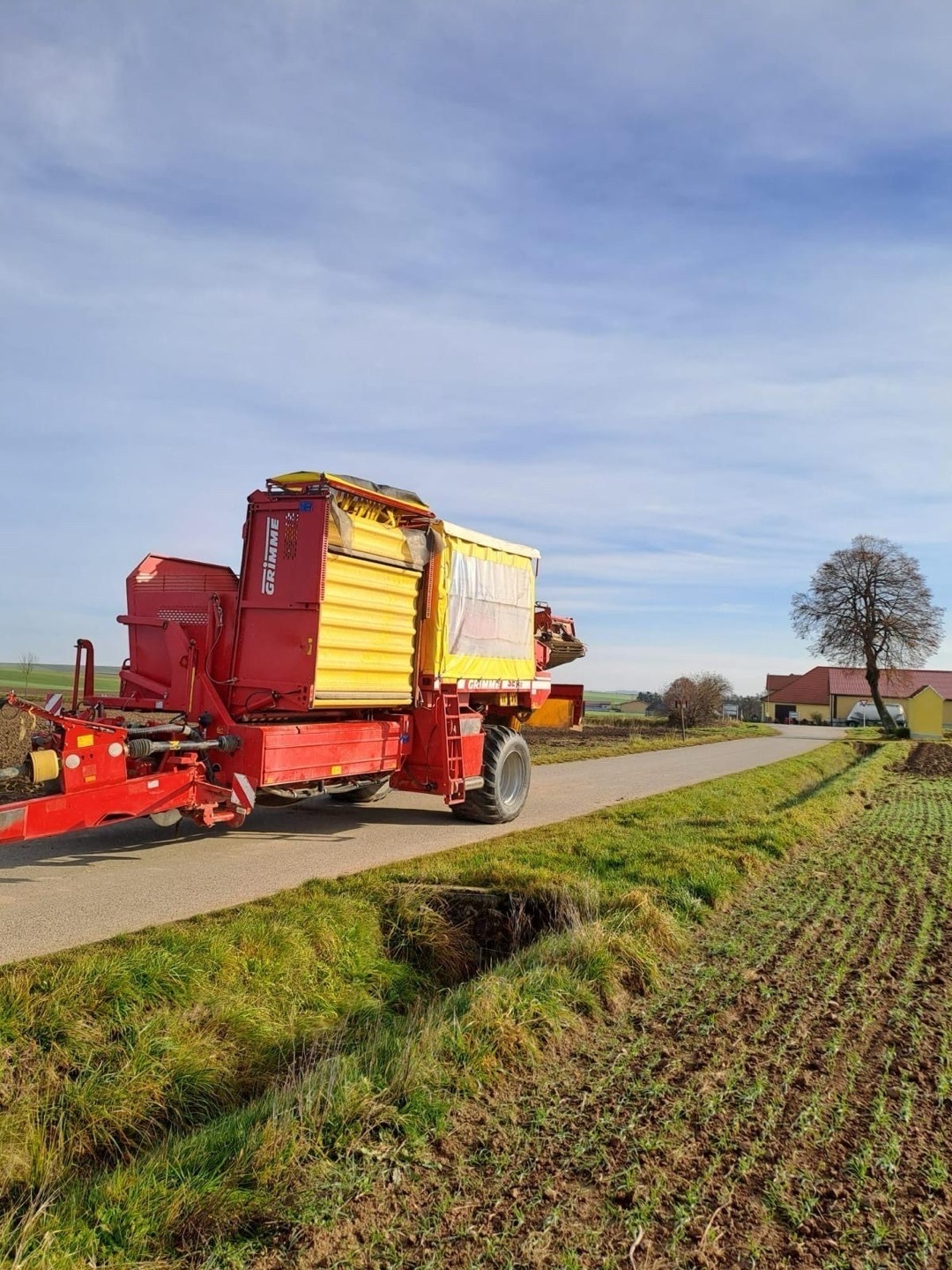 Grimme SE 260 6786682158265900 © GM Bilder
