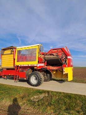 Grimme SE 260 6786682158265903 © GM Bilder