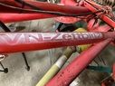 Vogel & Noot Zettblitz 6863751957612 © GM Bilder