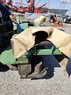 Krone EasyCut 32 56111550 © GM Bilder